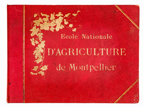 Ecole Nationale d'Agriculture de Montpellier. Collectif ; Ecole Nationale d'Agriculture de Montpellier