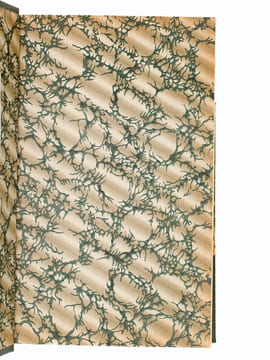 Journal de Papillon de La Ferté, Intendant et Contrôleur de l'Argenterie, Menus-Plaisirs et Affaires de la Chambre du Roi (1756-1780). PAPILLON DE LA ...