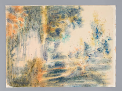 Forêt Voisine (2 Volumes - Complet) [ Un des 7 exemplaires sur Auvergne avec une aquarelle originale ]