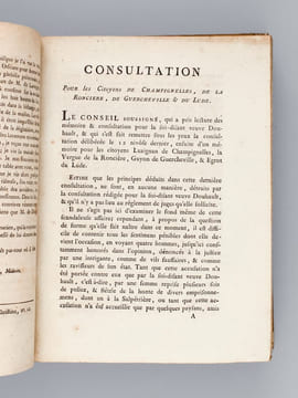 [ Recueil de 9 ouvrages relatifs à l'affaire Lusignan de Champignelles veuve Douhault ] Mémoire et Consultation, pour Armand-Louis Rogres de Luzignan ...