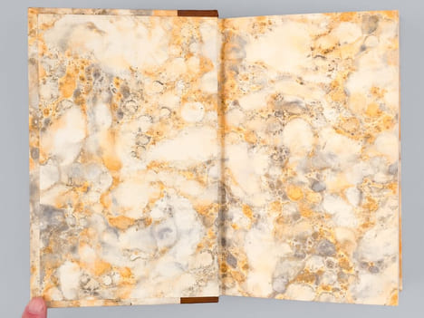 Journal de voyage en Italie par la Suisse et l'Allemagne en 1580 et 1581. MONTAIGNE ; DEDEYAN, Charles