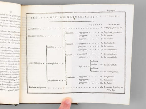 Calendrier de Flore des environs de Niort, ou tems approximatif de la floraison d'à peu près onze cents Plantes, décrites & classées méthodiquement, ...