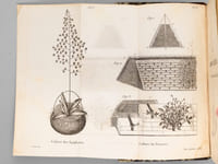 Le Bon Jardinier, Almanach pour l'Année 1836, Contenant les principes généraux de Culture, l'Indication, mois par mois, des travaux à faire dans les Jardins ; la Description, l'Histoire et la Culture particulière de toutes les Plantes potagères, économiques ou employées dans les arts ; de celles propres aux fourrages : des Arbres fruitiers ; des Ognons et Plantes à fleurs; des Arbres, Arbrisseaux et Arbustes utiles ou d'agrément, disposés selon la méthode du Jardin du Roi ; suivis d'un Vocabulaire des termes de Jardinage et de Botanique ; d'un jardin de plantes médicinales ; d'un tableau des végétaux groupés d'après la place qu'ils doivent occuper dans les parterres, bouquets, etc. et accompagné d'une Revue horticole