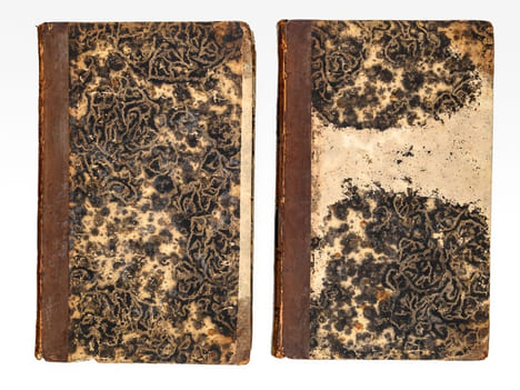 Essais littéraires de Saint-Just (2 tomes, complet). SAINT-JUST [ Godard d'Aucourt de Saint-Just, Claude (1769-1826) ]