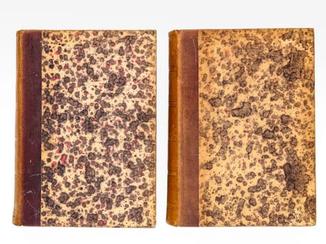 Les Guêpes, revue philosophique et littéraire des évènements contemporains (numéros 1 à 52, reliés en 2 volumes). KARR, Alphonse