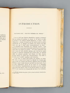 Petits poëmes en prose (Le Spleen de Paris)