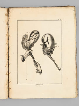 Encyclopédie Méthodique. Chirurgie (2 Tomes de Dictionnaire de Chirurgie et d'Explication des Planches et 1 Vol. de Planches - Complet) [ Edition ...