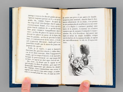 Physiologie du Garde-National [ Edition originale ]