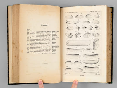 Catalogue illustré des Coquilles Fossiles de l'Eocène des environs de Paris, faisant suite aux travaux paléontologiques de G.P. Deshayes (5 Fascicules et 5 Suppléments en Appendice - 5 volumes - Complet) [ Edition originale ] Volume I : Fascicules 1 et 2 ; Volume II : Fascicules 3 et 4 ; Volume III : Fascicule 5 et Appendices 1 et 2 ; Volume IV : Appendices 3 et 4 ; Volume V : Appendices 5 