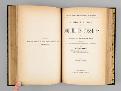 Catalogue illustré des Coquilles Fossiles de l'Eocène des environs de Paris, faisant suite aux travaux paléontologiques de G.P. Deshayes (5 Fascicules et 5 Suppléments en Appendice - 5 volumes - Complet) [ Edition originale ] Volume I : Fascicules 1 et 2 ; Volume II : Fascicules 3 et 4 ; Volume III : Fascicule 5 et Appendices 1 et 2 ; Volume IV : Appendices 3 et 4 ; Volume V : Appendices 5 