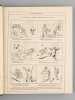Le Triboulet - journal satirique, politique illustré , Septième Année [ année 1884 complèten du n° 1 du 6 janvier 1884 au n° 52 du 28 décembre 1884 ]. ...
