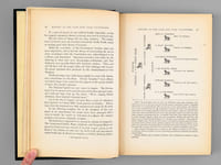 History of the One Hundred and Twenty-Fourth Regiment N.Y.S.V [ History of the 124th Regiment N.Y.S.V ] [ First Edition ]
