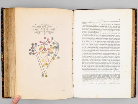 Oeuvres complètes de Buffon. Tome 2 : L'Hommes - Les Quadrupèdes . BUFFON ; FLOURENS ; [ ADAM, Victor ; etc. ] 