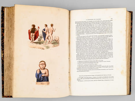 Oeuvres complètes de Buffon. Tome 2 : L'Hommes - Les Quadrupèdes . BUFFON ; FLOURENS ; [ ADAM, Victor ; etc. ] 