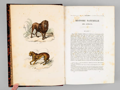 Oeuvres complètes de Buffon. Tome 3 : Les Quadrupèdes