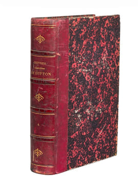 Oeuvres complètes de Buffon. Tome 4 : Les Singes - Additions aux quadrupèdes. BUFFON ; FLOURENS ; [ ADAM, Victor ; etc. ] 