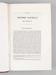 Oeuvres complètes de Buffon. Tome 6 : Les oiseaux
