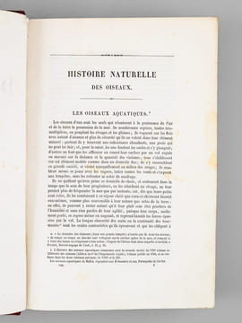 Oeuvres complètes de Buffon. Tome 8 : Les oiseaux. BUFFON ; FLOURENS ; [ ADAM, Victor ; etc. ] 