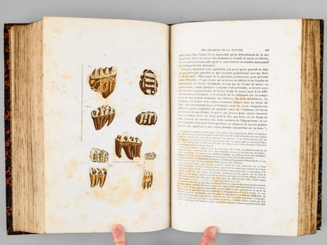 Oeuvres complètes de Buffon. Tome 9 : Introduction aux Minéraux - Epoques de la Nature. BUFFON ; FLOURENS ; [ ADAM, Victor ; etc. ] 