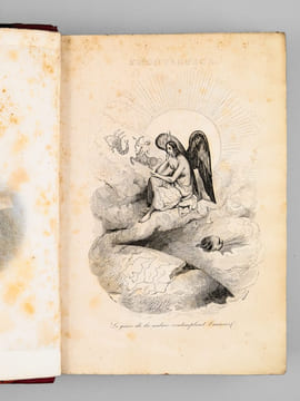 Oeuvres complètes de Buffon. Tome 1 : Théorie de la Terre - Histoire générale des Animaux. BUFFON ; FLOURENS ; [ ADAM, Victor ; etc. ] 