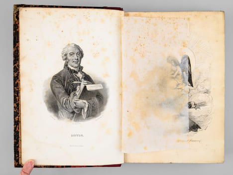 Oeuvres complètes de Buffon. Tome 1 : Théorie de la Terre - Histoire générale des Animaux. BUFFON ; FLOURENS ; [ ADAM, Victor ; etc. ] 