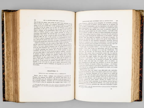 Oeuvres complètes de Buffon. Tome 1 : Théorie de la Terre - Histoire générale des Animaux. BUFFON ; FLOURENS ; [ ADAM, Victor ; etc. ] 