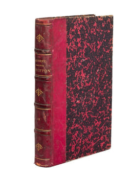 Oeuvres complètes de Buffon. Tome 11 : Les Minéraux. BUFFON ; FLOURENS ; [ ADAM, Victor ; etc. ] 