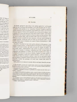Oeuvres complètes de Buffon. Tome 11 : Les Minéraux. BUFFON ; FLOURENS ; [ ADAM, Victor ; etc. ] 