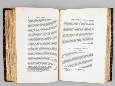 Oeuvres complètes de Buffon. Tome 11 : Les Minéraux. BUFFON ; FLOURENS ; [ ADAM, Victor ; etc. ] 