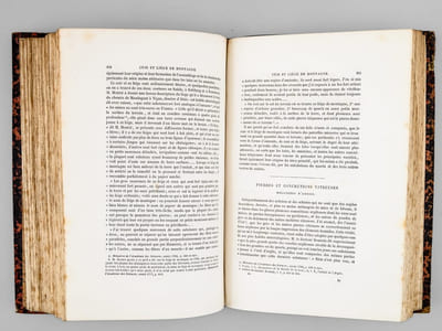 Oeuvres complètes de Buffon. Tome 11 : Les Minéraux