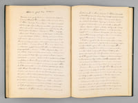 Manuscrit consacré aux Guerres de la Révolution et surtout du Consulat et du Premier Empire, particulièrement focalisé sur le Maréchal Davout.