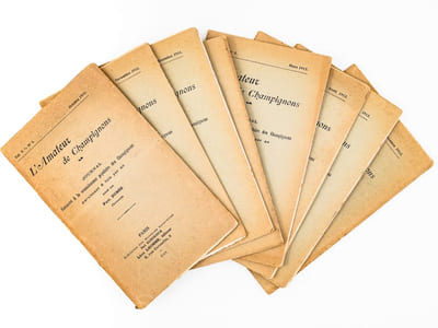 L'Amateur de Champignons ( Vol. V Octobre 1911 - Septembre 1912, 8 volumes, complet ). Journal consacré à la connaissance populaire des Champignons, paraissant 8 fois par an.