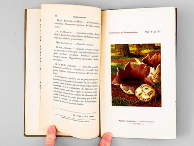 L'Amateur de Champignons ( Vol. V Octobre 1911 - Septembre 1912, 8 volumes, complet ). Journal consacré à la connaissance populaire des Champignons, paraissant 8 fois par an.