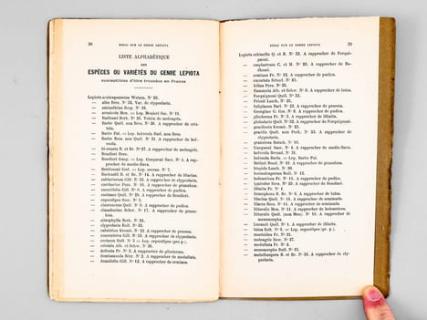 L'Amateur de Champignons ( Vol. V Octobre 1911 - Septembre 1912, 8 volumes, complet ). Journal consacré à la connaissance populaire des Champignons, ...