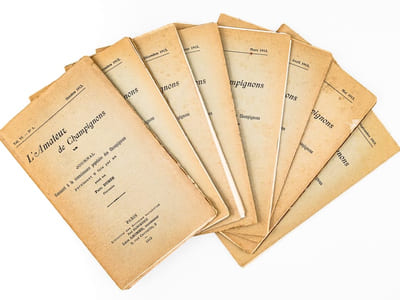L'Amateur de Champignons ( Vol. VI Octobre 1912 - Septembre 1913, 8 volumes, complet ). Journal consacré à la connaissance populaire des Champignons, paraissant 8 fois par an.