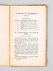 L'Amateur de Champignons ( Vol. VI Octobre 1912 - Septembre 1913, 8 volumes, complet ). Journal consacré à la connaissance populaire des Champignons, paraissant 8 fois par an.