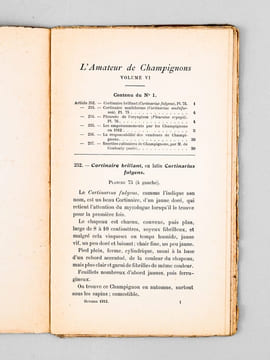 L'Amateur de Champignons ( Vol. VI Octobre 1912 - Septembre 1913, 8 volumes, complet ). Journal consacré à la connaissance populaire des Champignons, ...