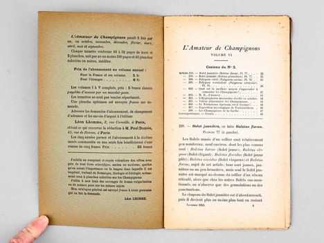 L'Amateur de Champignons ( Vol. VI Octobre 1912 - Septembre 1913, 8 volumes, complet ). Journal consacré à la connaissance populaire des Champignons, ...
