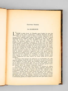 Au-delà de la Désirade - Les Caraïbes d'ïle en Ile ("The Traveller's Tree")