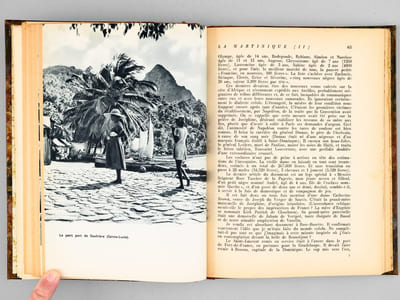 Au-delà de la Désirade - Les Caraïbes d'ïle en Ile ("The Traveller's Tree")