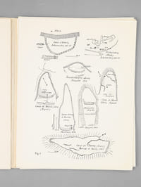 Panoplies. Bulletin des Amis du Musée Militaire de Bordeaux (5 premiers numéros : n° 1, 2, 3, 4, 5 : années 1965-1966)