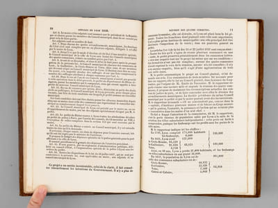 Annales de la Ville de Lyon ou Histoire de notre temps. [ Année 1849 - Edition originale ]