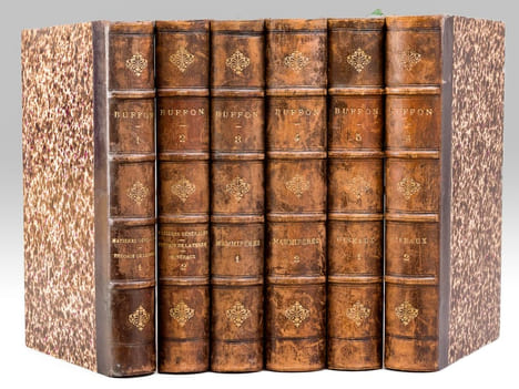 Oeuvres complètes de Buffon avec des extraits de Daubenton et la classification de Cuvier (6 Tomes - Complet) Tome I : Matières générales. Théorie de ...