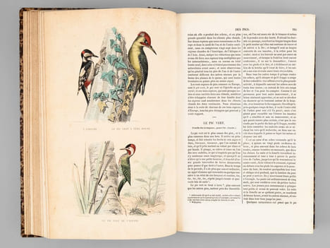 Oeuvres complètes de Buffon avec des extraits de Daubenton et la classification de Cuvier (6 Tomes - Complet) Tome I : Matières générales. Théorie de ...
