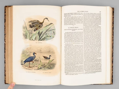 Oeuvres complètes de Buffon avec des extraits de Daubenton et la classification de Cuvier (6 Tomes - Complet) Tome I : Matières générales. Théorie de ...