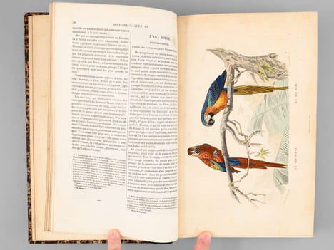 Oeuvres complètes de Buffon avec des extraits de Daubenton et la classification de Cuvier (6 Tomes - Complet) Tome I : Matières générales. Théorie de ...