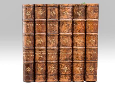Oeuvres complètes de Buffon avec des extraits de Daubenton et la classification de Cuvier (6 Tomes - Complet) Tome I : Matières générales. Théorie de ...