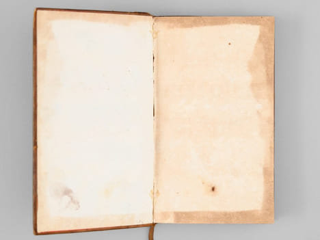 Histoire de la Mère et du Fils ; C'est-à-dire, De Marie de Médicis, Femme du Grand Henry, et Mère de Louis XIII, Roi de France & de Navarre (2 Tomes - ...