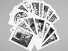 Lot de 16 cartes postales avec des illustrations d'Alban Caumont, tirées des ouvrages qu'il a illustrés aux éditions de l'Arbre Vengeur.. CAUMONT, ...