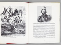 Les Polonais de Napoléon